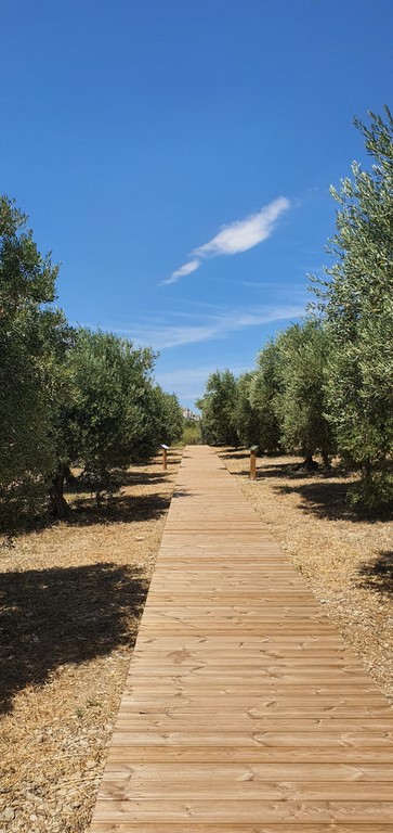 wandeling boomgaard les baux de provence