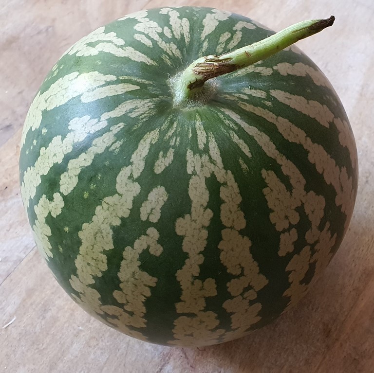 Citroenmeloen uit Frankrijk